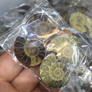 批发马达加斯加天然分裂样本贝壳吊坠菊石化石的吊坠