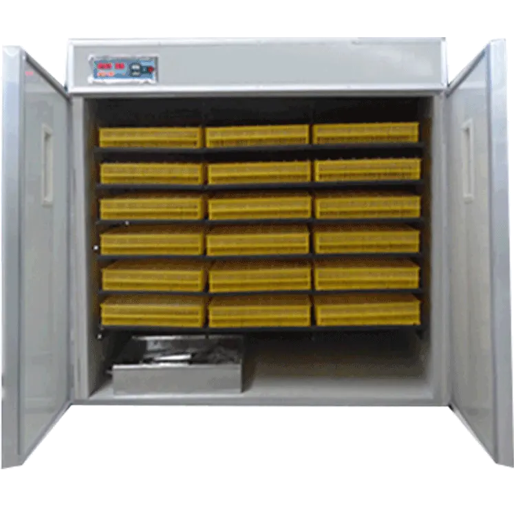 Incubadora para ovo de galinha automática, venda quente de SSD-1584