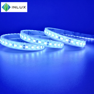 DC12V SMD3528 120 Leds/m น้ำแข็งสีฟ้ากันน้ำ IP68ราคาถูกนำที่มีความยืดหยุ่นไมโครกล่องสระว่ายน้ำนำแถบแสง - Product Image 6