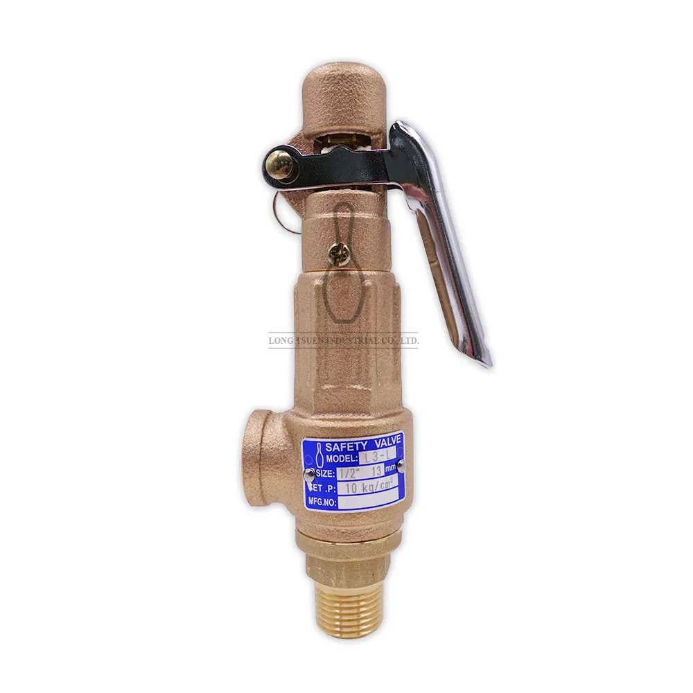 Safety protection L3-LP with hand lever emergency pressure relief valve