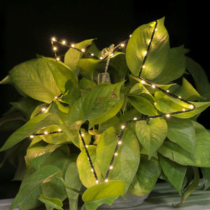 Stringa della lampada del ferro di amore del filo di rame della luce del Led con la luce del riso a batteria CR2032 Led per la decorazione dell'interno di nozze