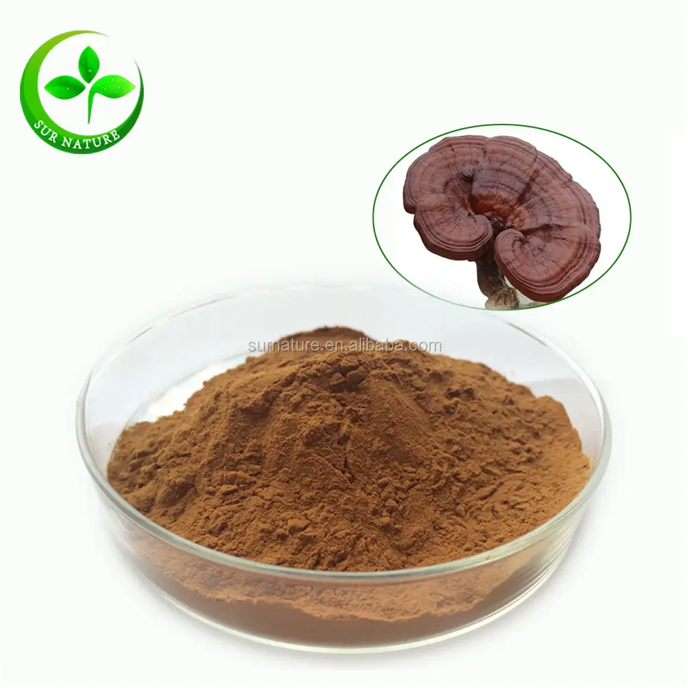 100% Natural Lucid Ganoderma, Reishi mushroom Extract