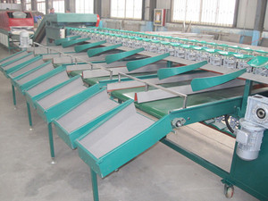 Date palm sortierung und reinigung maschine/sortierung system - Product Image 4