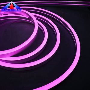 LED霓虹灯SMD5050 LED灯带60LED/m RGB霓虹灯灯带灯 - Product Image 4