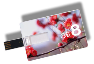 带有定制徽标的免费样品USB闪存驱动器2gb 4gb 8gb 16GB Memoria卡USB