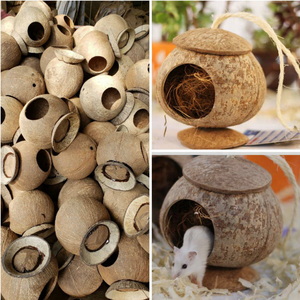 100% doğal ecofriendly hindistan cevizi kabuğu kuş yuvası küçük moq ile