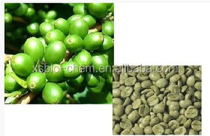 Yüksek kalite GMP standart doğal klorojenik asit Coffea Arabica özü yeşil kahve çekirdeği özütü