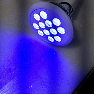 <span class=keywords><strong>LED</strong></span> כחול אור מנורת עבור ילודים פיזי צהבת פיזיולוגית פתולוגי טיפול פוטותרפיה