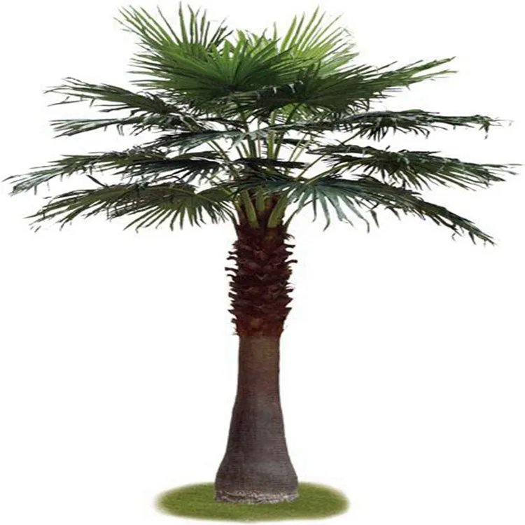 Büyük Açık yapay palmiye ağacı Peyzaj dekoratif