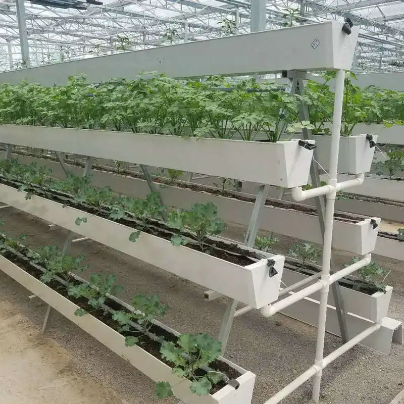 Komersial Rumah Kaca Kit Digunakan Strawberry Tumbuh Hidroponik Sistem
