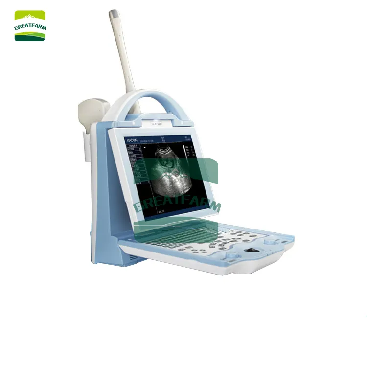 Scanner de ultrassom para cães e gatos, equipamento de detecção de gravidez de animais especiais, tela super grande