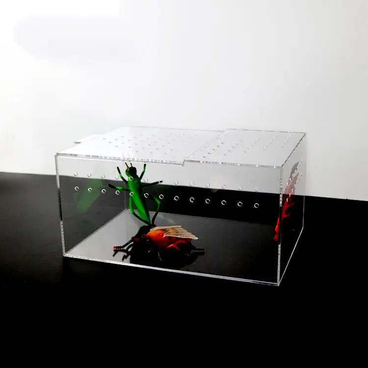 Acryl terrarium pet display fällen bildschirm käfig für reptil schildkröte hamster Acryl hamster käfig acryl reptil käfig