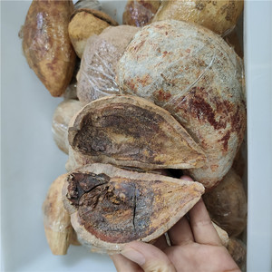 天然鱼石化石 - Product Image 1