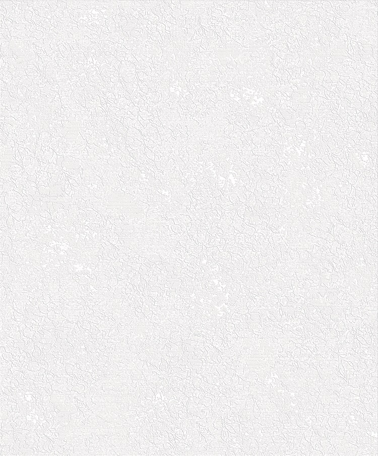 MA981667