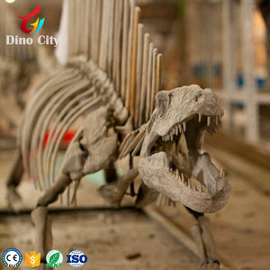Esqueleto de fósil de dinosaurio ensamblado vívido, con acero para restaurar la dynasty tia de dinosaurios - Product Image 1