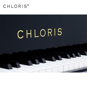 Wooden Grand Piano Shell and Piano Cabinet - Product Image 6