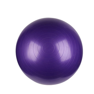 フィジオボールエクササイズ誕生ボールエクササイズジムボール - Product Image 2