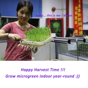 หลอดฟลูออเรสเซนต์4ฟุต Linkable,หลอดสเปกตรัมเต็มรูปแบบหลอดแนวตั้ง T5 Grow Lighting - Product Image 6