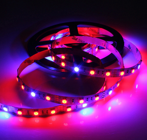 LED bitki büyütme lambaları 1 M 2 M 3 M 4 M 5 M SMD 5050 DC12V Esnek bitki yetiştirme LED şerit Sera için Işık topraksız Bitki Sebze - Product Image 5