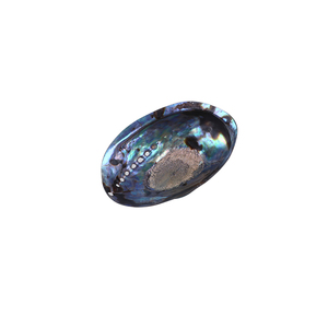 Wholesale Natural Polished Abalone Paua <strong>Shells</strong>