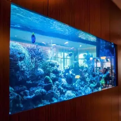 Lastra in Plexiglass per acquario a parete in acrilico trasparente alto