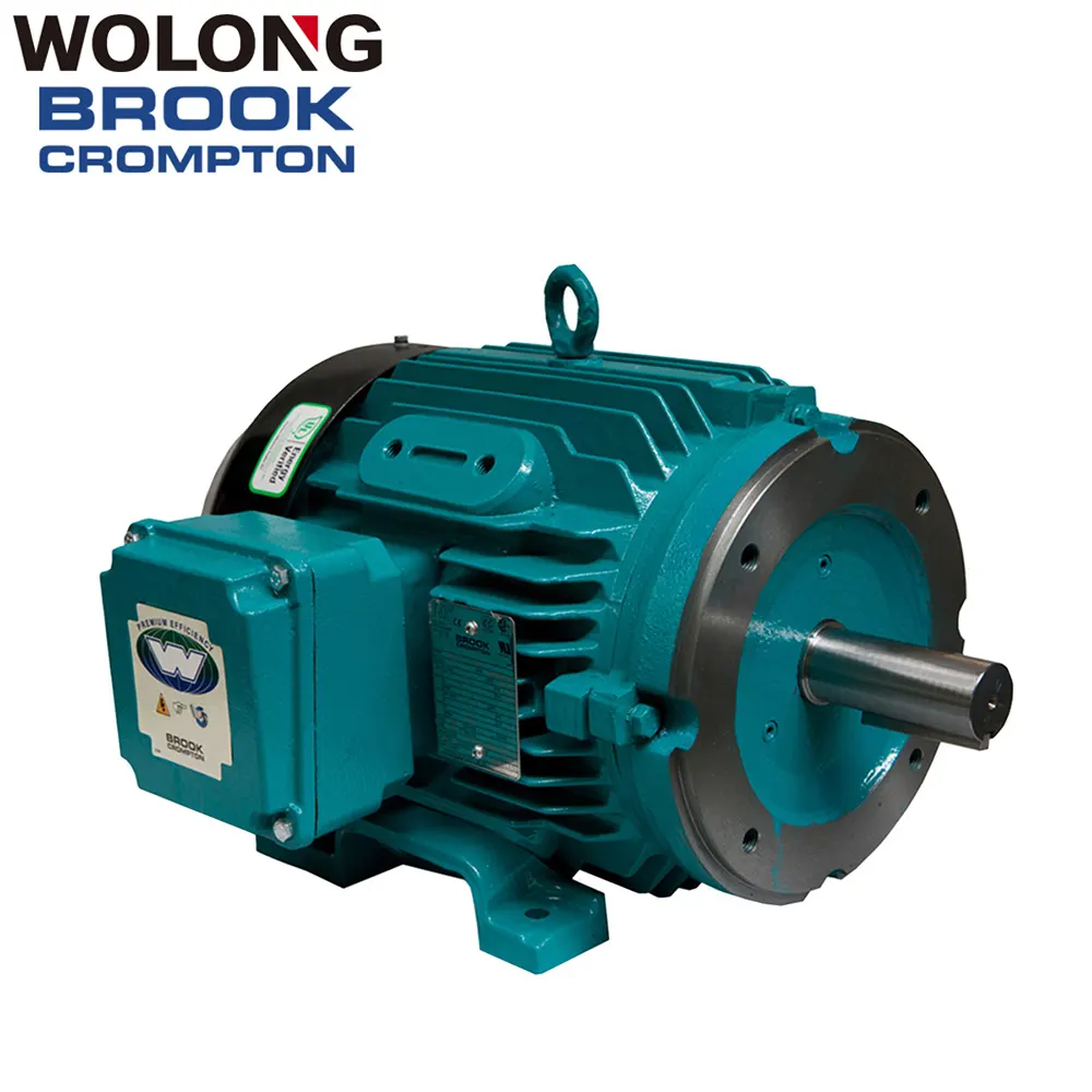 BROOK WE3 AC Electric Three Phase High Efficiency Asynchronous induction motor
