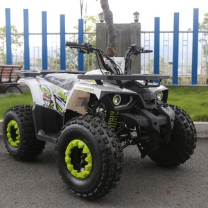 タオモーター2025自動チェーンドライブクアッドバイクファームATV 125ハンター125cc ATV 125cc - Product Image 3