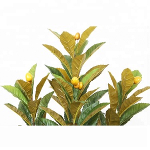 บอนไซประดิษฐ์ Loquat Tree จริงด้วยผลไม้สำหรับตกแต่งบ้านสวน - Product Image 4
