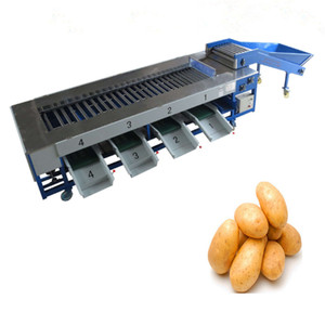 Rifornimento della fabbrica di Frutta Arachidi Patata di Apple Fava di Cacao Dado Avocado Cipolla Oliva Mango Pomodoro Limone Formato di Smistamento di Classificazione Macchina - Product Image 6