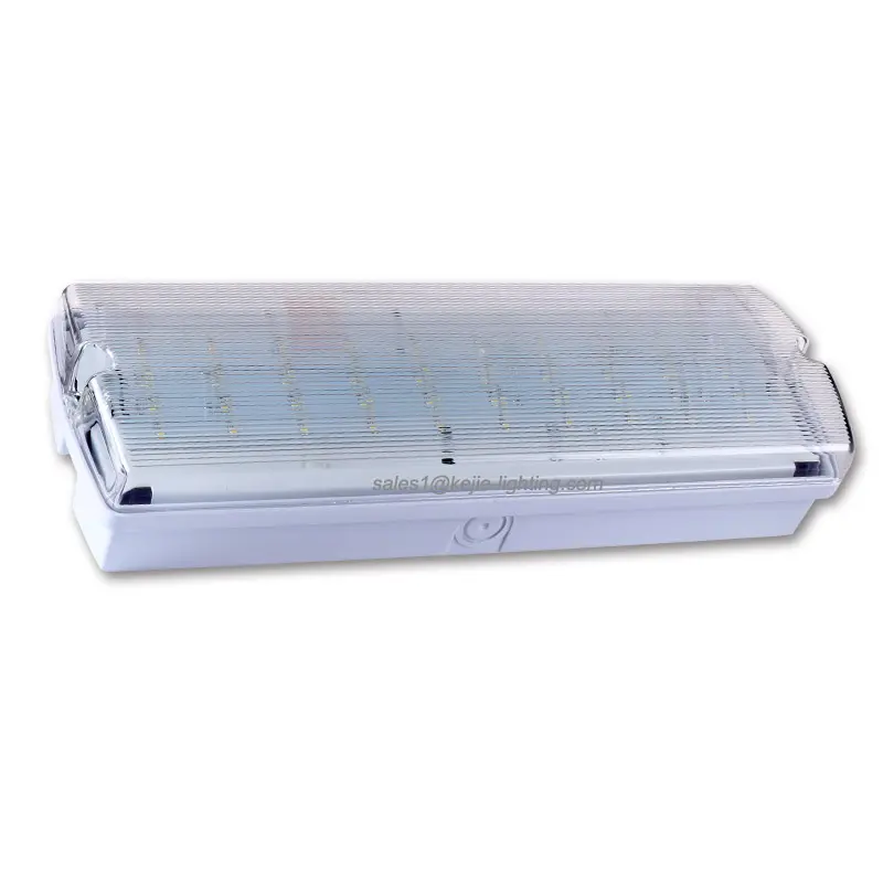 Mampara Led recargable Ip65, luces de emergencia con batería 3H, el más Popular