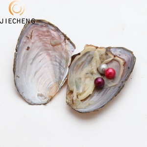 ของขวัญเซอร์ไพร์ปาร์ตี้หอยนางรมสด6-7มม.,หอยแมลงภู่ไข่ไข่หอยหอยนางรม - Product Image 4