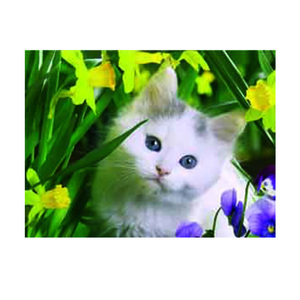 自定义3d猫海报花卉装饰