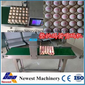 Günstiger Preis Eier druckmaschine/Verfalls datum Chargen nummer Eiercode-Druckmaschine - Product Image 6