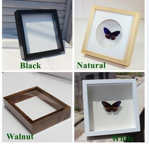 High Quality <strong>10x10</strong> square Specimen Display Taxidermy Real Insects Shadow Box Picture <strong>Frame</strong> for Collection and Decor - Product Image 5