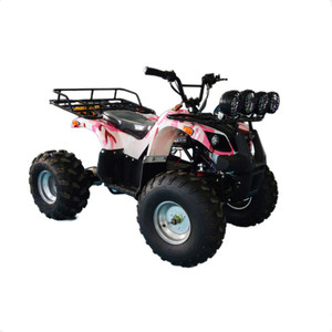 Hot Sales ATV Quad Bike 4 Stroke Cheap Beach Buggy - Product Image 2