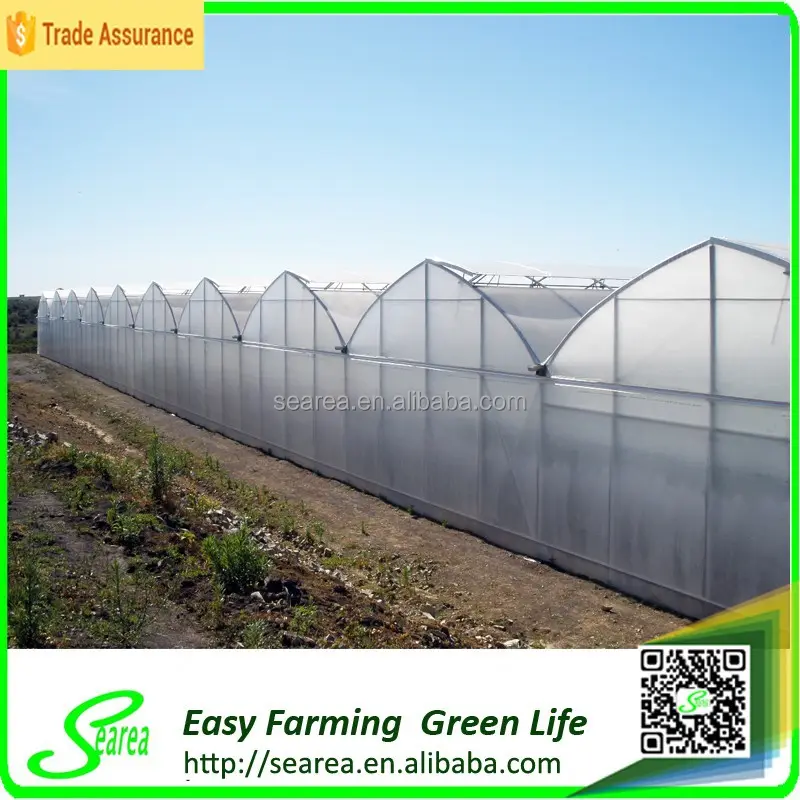 High quality agricultural example of the greenhouse project