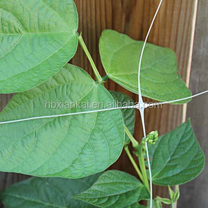 Enrejado de plástico de material virgen, red de soporte de escalada para plantas, para pepino, vid, guisante y frijol, 100% - Product Image 3