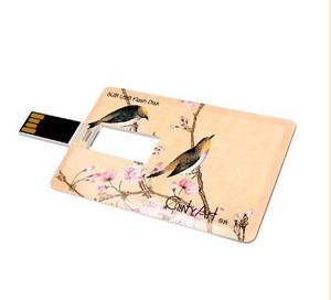 2020 批发 2GB 4GB信用卡<span class=keywords><strong>usb</strong></span>闪存驱动器 8GB 16GB塑料<span class=keywords><strong>USB</strong></span>卡内存<span class=keywords><strong>USB</strong></span>