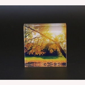 Akrilik süs blok lucite tam baskı fotoğraf çerçevesi