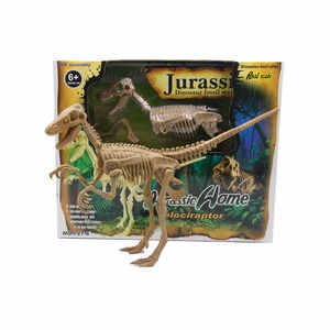 中国制造商3D恐龙骨骼化石出售 - Product Image 1