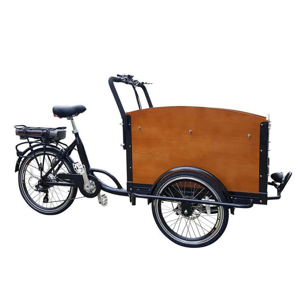 3 räder Lebensmittel Träger Familie Warenkorb Elektrische Wagon Cargo Bike, Pedal Unterstützen Cargo Trike Hersteller