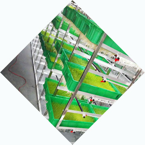 Sản Xuất Tại Trung Quốc Thủy Canh Thức Ăn Gia Súc Nảy Mầm Máy | Màu Xanh Lá Cây Lúa Mạch Hạt Giống Chăn Nuôi Phòng | Cỏ Nụ Cây Giống Hệ Thống - Product Image 3