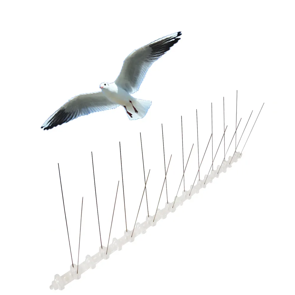GKPC-55: कीट नियंत्रण के लिए कबूतर जाल पक्षी Spikes कबूतर निवारक स्टेनलेस स्टील पशु नियंत्रण उपयोग पारदर्शी 50cm 2cm पीसी