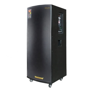 Temeisheng כפול 15 אינץ 300 w עגלת גדול כוח חיצוני נייד רמקול מערכת עם USB מטען לשימוש חיצוני
