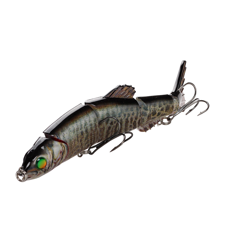 tiger minnow