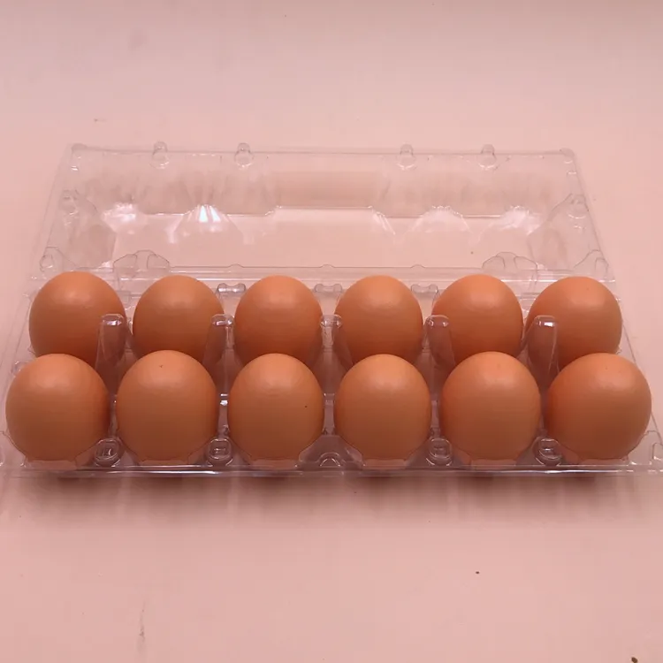 Bandeja de huevos de codorniz de plástico, cajas de huevos de codorniz a la venta, embalaje de huevos de codorniz