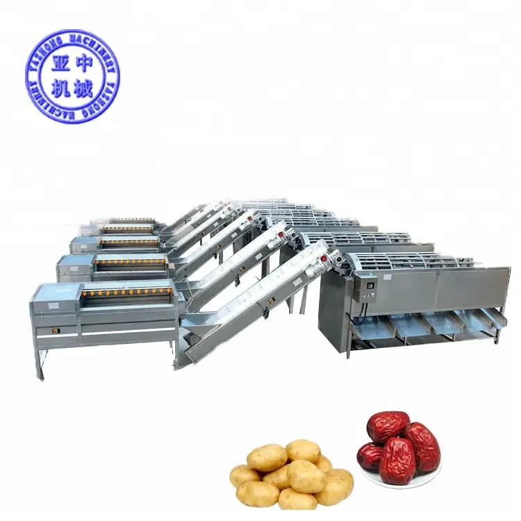 Frites de équipements de traitement de pommes de terre machine de tri