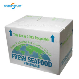 PP plastik marul kutusu corflute kutusu sebze ve furit ambalaj kutuları - Product Image 2