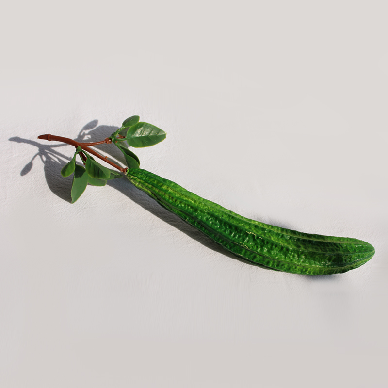 Loofah delgada