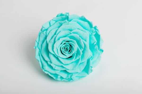 Azul de Tiffany